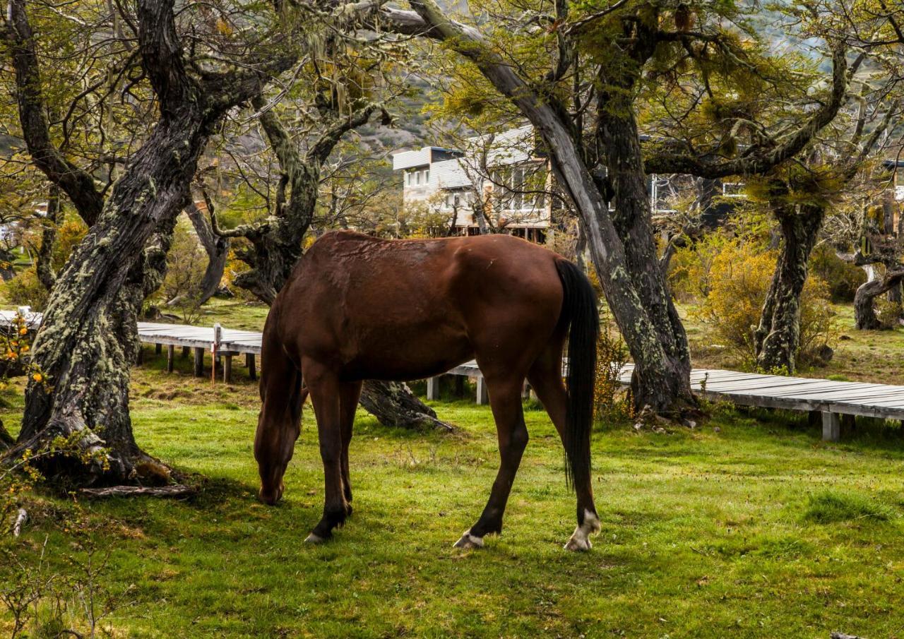 Pampa Hostel Torres del Paine National Park Екстер'єр фото
